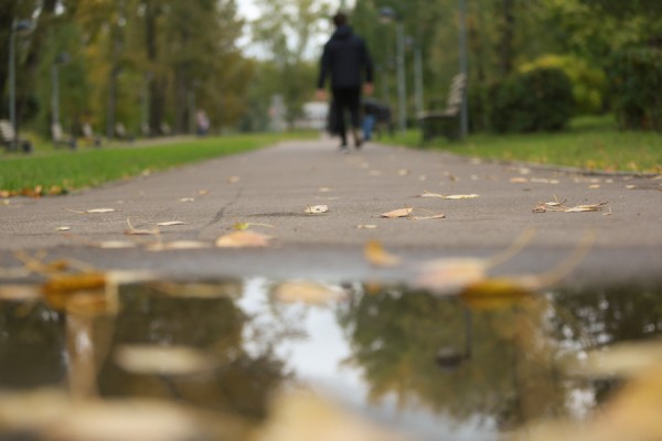 Еще погреемся: в Казань идет бабье лето