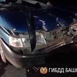 В Башкирии в серьёзном ДТП погибли парень, лошадь и два жеребёнка