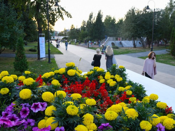 При проведении в России первой цифровой переписи будут использованы лучшие практики и новации