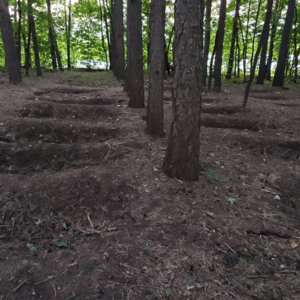 &laquo;Жуткое зрелище&raquo;: уфимцев напугал ряд прямоугольных дыр в лесу