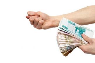 &laquo;А мы ведь поверили!&raquo;: как государство обмануло начинающих фермеров в Татарстане