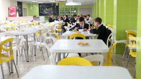 Татарстан входит в число лидеров по организации горячего питания в школах 