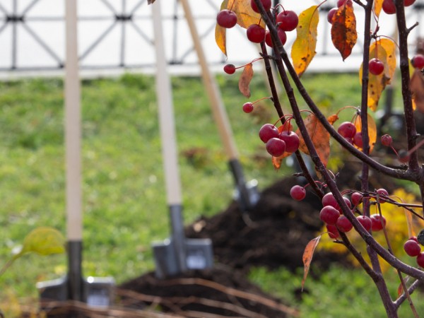 На ул.Петербургской в Казани появилась &laquo;Аллея туризма&raquo;