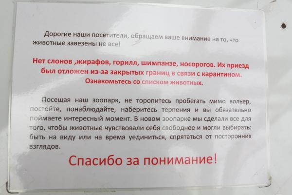 В казанский зоопарк &laquo;Река Замбези&raquo;, куда никак не доедут слон и жираф, решили вбухать еще полмиллиарда