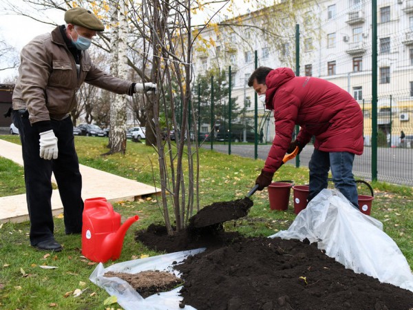 И.Метшин: «Для нас идеальный случай, когда жители сами говорят, что и как они хотят видеть в своем дворе» И.Метшин: «Для нас идеальный случай, когда жители сами говорят, что и как они хотят видеть в своем дворе»
