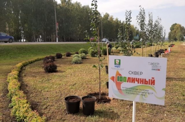 Казанцы решат, каким будет парк &laquo;Манзара&raquo; напротив Кремля