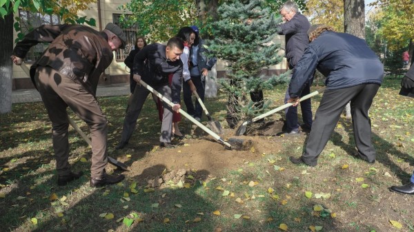 В сквере Татарской Государственной филармонии была посажена именная ель (ФОТО)