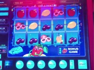  В Татарстане полицейские пресекли незаконную игорную деятельность