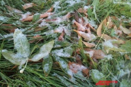 Морозы не за горами? В Татарстане похолодает до минус 7 градусов