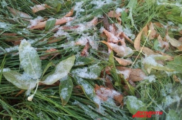 Морозы не за горами? В Татарстане похолодает до минус 7 градусов