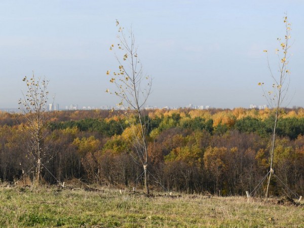 И.Гиниятуллин: &laquo;Запах в районе Самосырово появился, так как на полигон &laquo;Восточный&raquo; стали свозить мусор из других муниципальных районов&raquo;