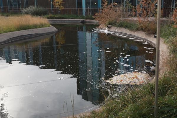 В казанский зоопарк &laquo;Река Замбези&raquo;, куда никак не доедут слон и жираф, решили вбухать еще полмиллиарда