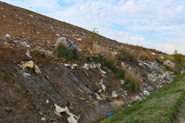 Казанским властям не удалось свалить вину за вонь на Мамадышском тракте на коров и свиней