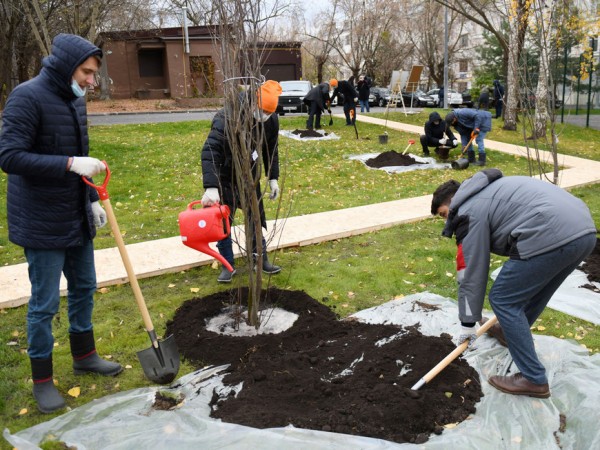 И.Метшин: «Для нас идеальный случай, когда жители сами говорят, что и как они хотят видеть в своем дворе» И.Метшин: «Для нас идеальный случай, когда жители сами говорят, что и как они хотят видеть в своем дворе»