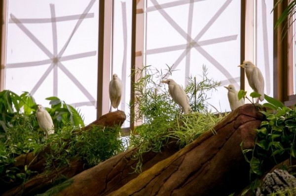 На реконструкцию казанского зоопарка выделят почти 480 млн рублей