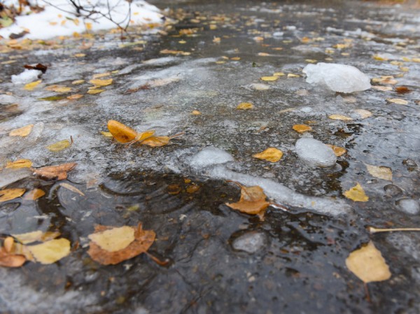Мокрый снег и сильный порывистый ветер прогнозируют синоптики казанцам Мокрый снег и сильный порывистый ветер прогнозируют синоптики казанцам