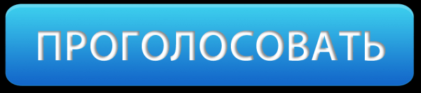 Жители России в десятый раз проголосуют за &laquo;Народного участкового&raquo;