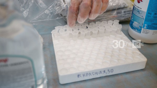 В Татарстане увеличат количество тестирований на коронавирус