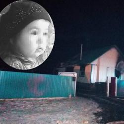 Родители уехали за продуктами: в Башкирии при пожаре в доме погибли девочка и ее дедушка (ВИДЕО)