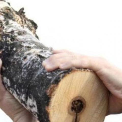 В Башкирии на похоронах забили поленом пенсионера