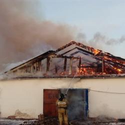 В Татарстане спасли из пожара 130 коров и телят (ФОТО)