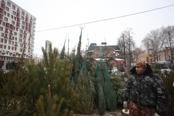 «Елочный король» Казани собирает с торговцев дань за чистоту «Елочный король» Казани собирает с торговцев дань за чистоту