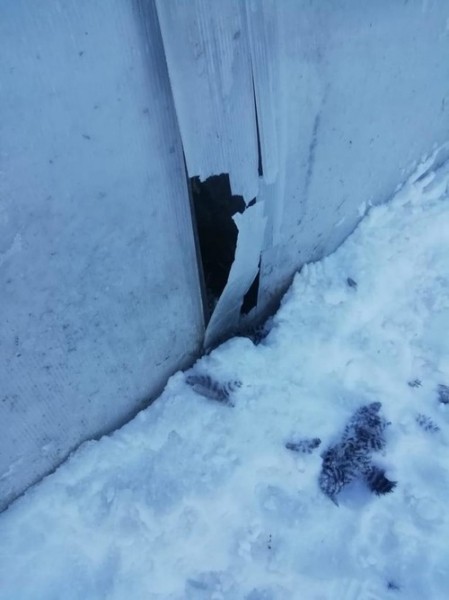 На главу татарстанского села, застрелившего вместо лисы женщину, завели уголовное дело