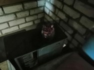 В Татарстане полицейские изъяли из гаража жителя Заинского района 1,3 кг марихуаны В Татарстане полицейские изъяли из гаража жителя Заинского района 1,3 кг марихуаны