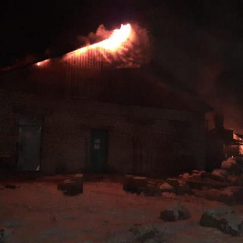 При пожаре в жилом доме погибли мужчина и около 30 его собак При пожаре в жилом доме погибли мужчина и около 30 его собак