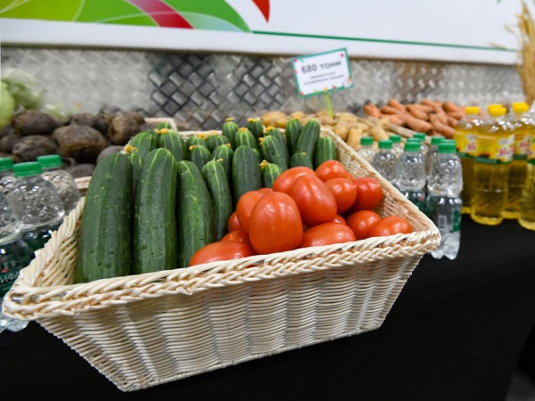 Ильсур Метшин показал блогерам комбинат, где готовят школьное питание