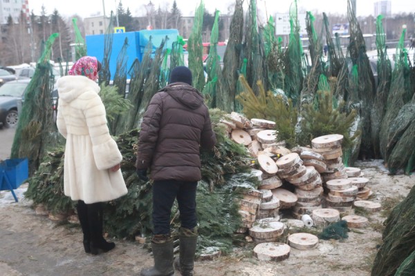 «Елочный король» Казани собирает с торговцев дань за чистоту «Елочный король» Казани собирает с торговцев дань за чистоту