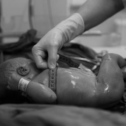 Сколько стоит ребёнок из пробирки Сколько стоит ребёнок из пробирки