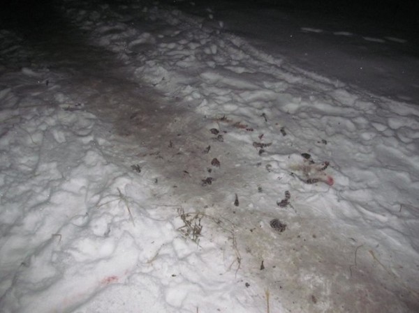 На главу татарстанского села, застрелившего вместо лисы женщину, завели уголовное дело