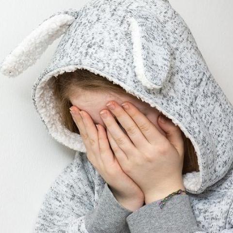 В Нижнекамском районе 13-летнюю девочку изнасиловал сожитель тёти