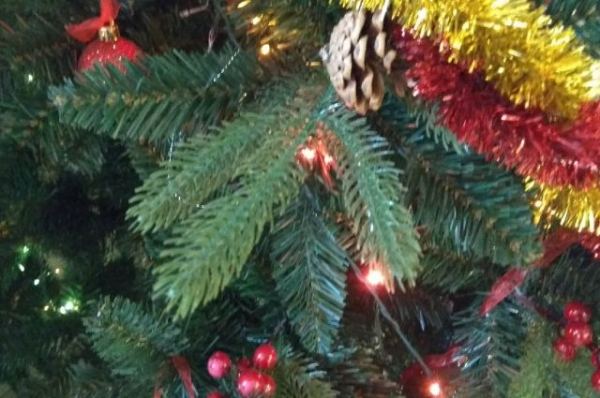 В Дербышках задержали вандалов, испортивших новогоднюю ёлку и гирлянды