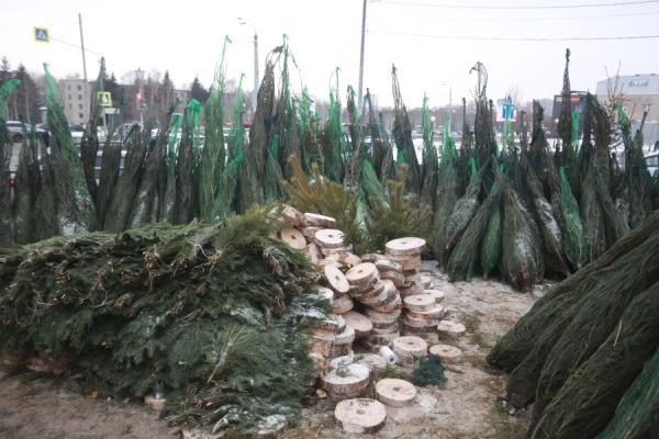 «Елочный король» Казани собирает с торговцев дань за чистоту «Елочный король» Казани собирает с торговцев дань за чистоту