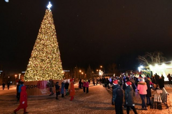 В Дербышках задержали вандалов, испортивших новогоднюю ёлку и гирлянды