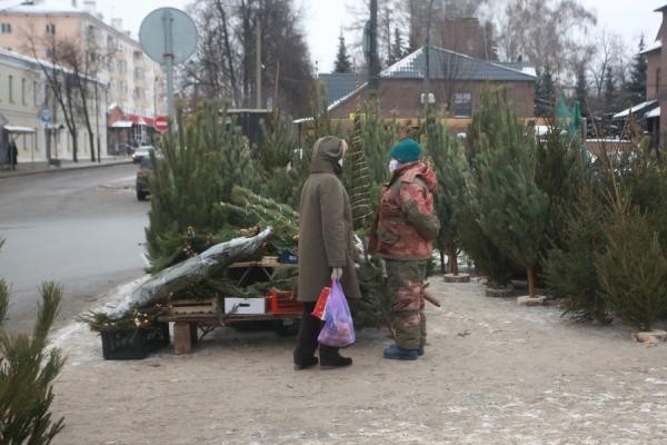 «Елочный король» Казани собирает с торговцев дань за чистоту «Елочный король» Казани собирает с торговцев дань за чистоту