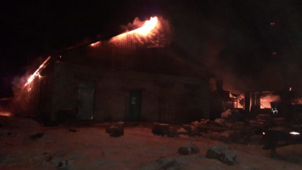 При пожаре в жилом доме погибли мужчина и около 30 его собак При пожаре в жилом доме погибли мужчина и около 30 его собак