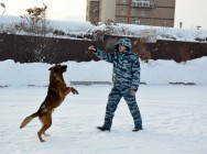 &laquo;Студенческий десант&raquo; высадился в подразделениях МВД, выполняющих особые задачи