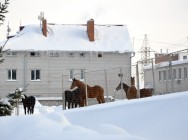&laquo;Студенческий десант&raquo; высадился в подразделениях МВД, выполняющих особые задачи