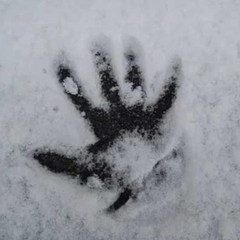 Жительница Татарстана оставила годовалую дочку в сарае на ночь в 30-градусный мороз Жительница Татарстана оставила годовалую дочку в сарае на ночь в 30-градусный мороз