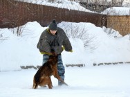 &laquo;Студенческий десант&raquo; высадился в подразделениях МВД, выполняющих особые задачи