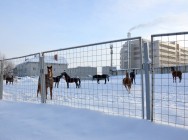 &laquo;Студенческий десант&raquo; высадился в подразделениях МВД, выполняющих особые задачи