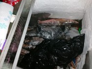 Полицейские Нижнекамска выявили факт незаконной охоты