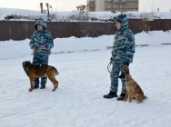 &laquo;Студенческий десант&raquo; высадился в подразделениях МВД, выполняющих особые задачи