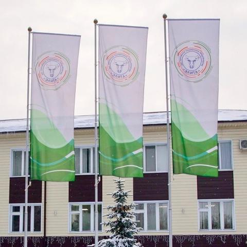 40 или 120: Сколько лет племпредприятию "Элита"?