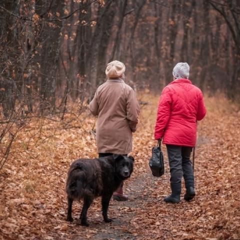 Эксперт рассказал, какие выплаты положены пенсионерам, кроме пенсии