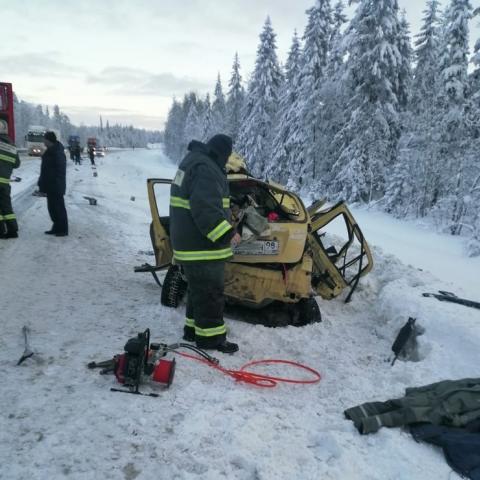 Везли детей на курорт: в ДТП на трассе лесовоз раздавил семью из Петербурга