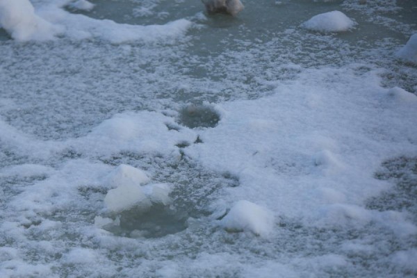 Не пивнушка, так канализация: казанцы снова спасают озеро Большое Чуйково